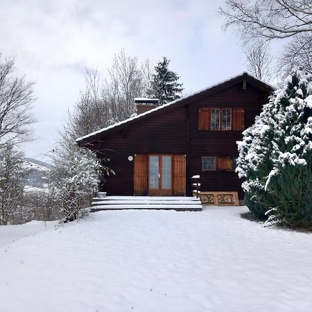 Villa Stressless - für Geimpfte und Genesene Traisen Exterior foto